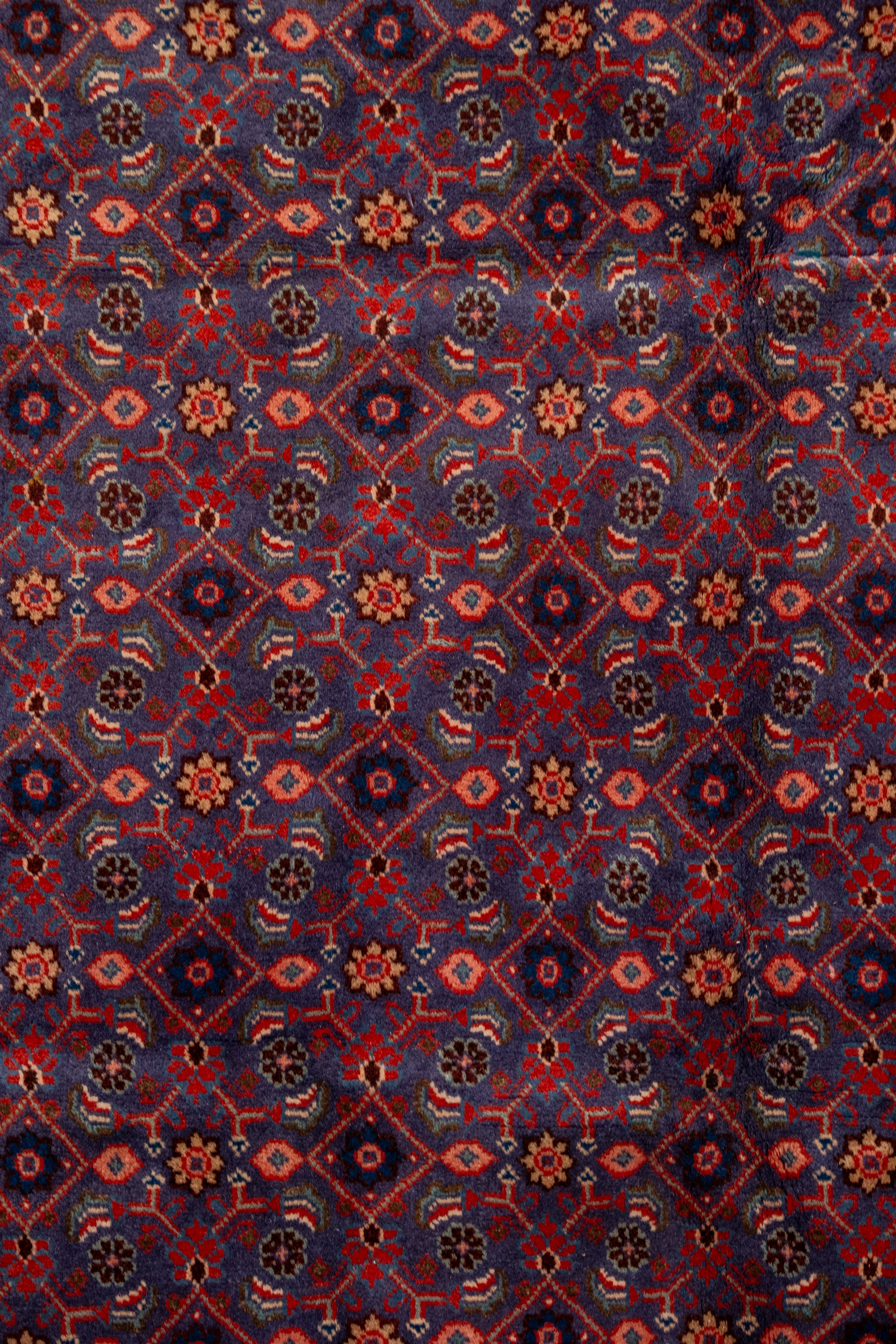 Rugs at 40% off